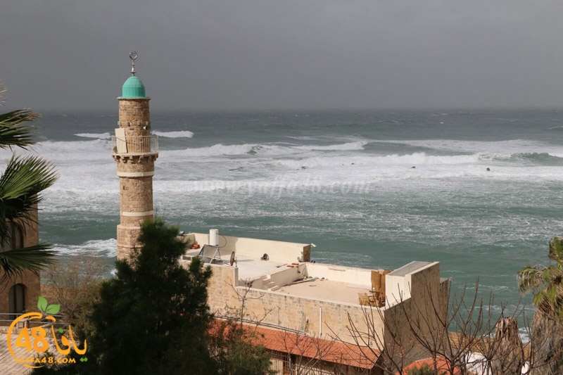 yaffa weahtera (1).jpg